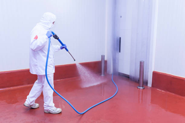 Spring Cleaning in Jamul, CA